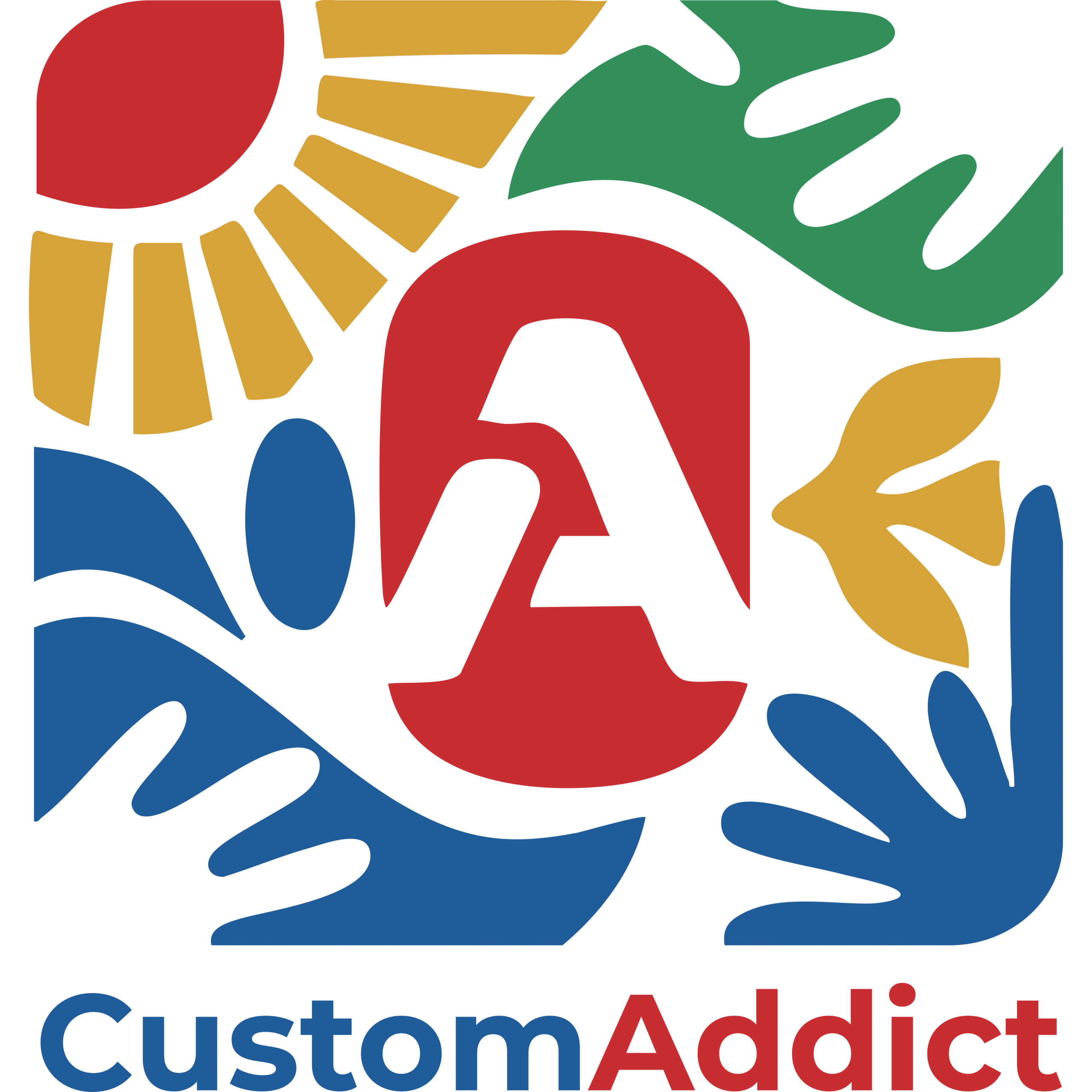 Custom Addict