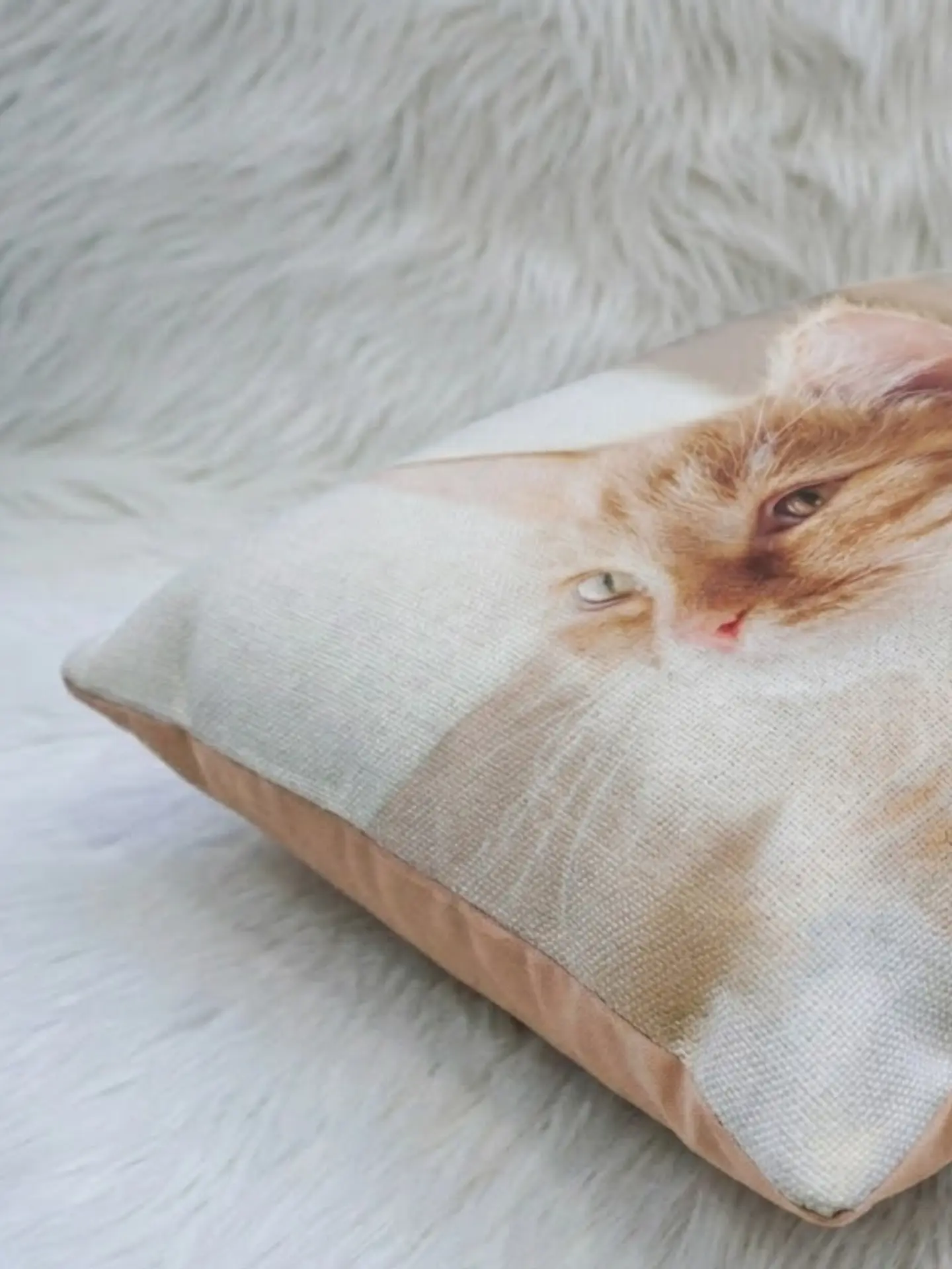 customaddict banner 9