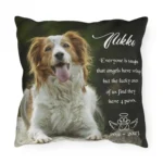 everyone is taught that angels have wings personalized pet pillow pet memorial photo pillow 1