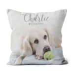in loving memory pet photo throw pillow pet memorial pillow 1